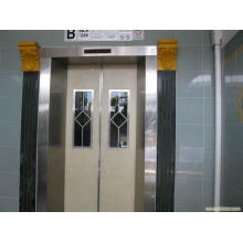 Passenger Lift/Passenger Elevator Hot Sales